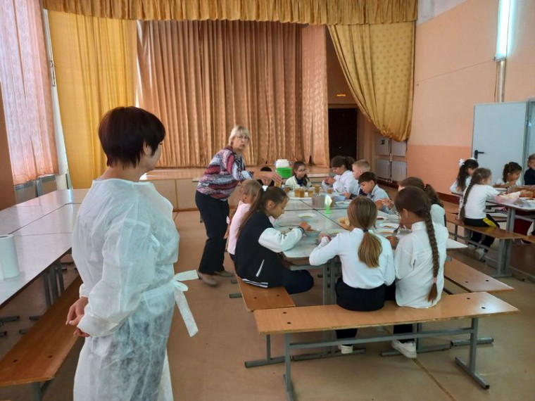 Родительский контроль школьного питания..